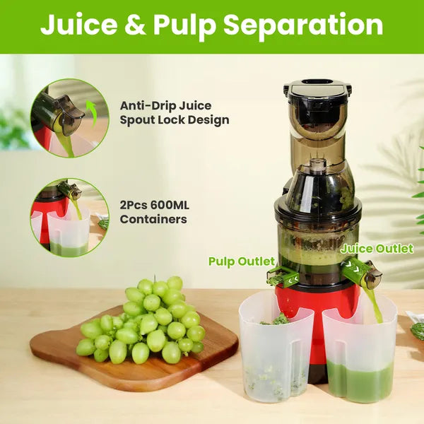 Cold Press Juicer Machine 300W Electric Slow Masticating Juicer For Whole Vegetable And Fruit